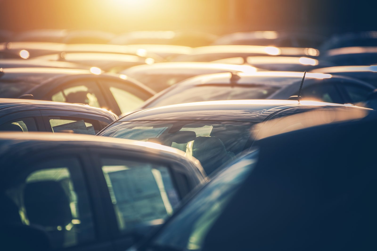Manheim Index Climbs 0.7% in Early October as Wholesale Inventory Shrinks
